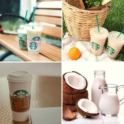 Starbucks Coconut Drinks